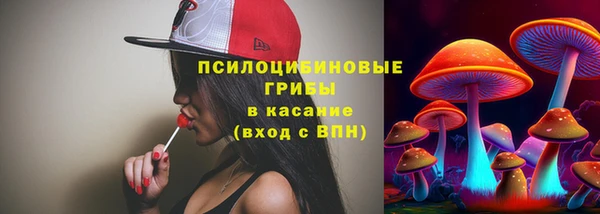 прущая мука Калининец