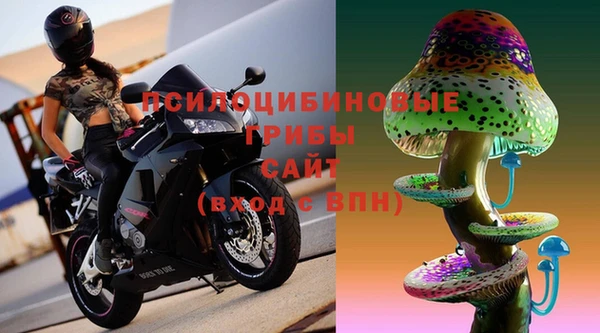 дживик Фёдоровский