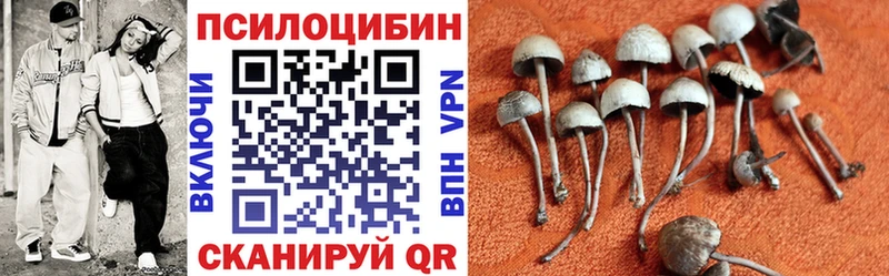 blacksprut   Алагир  Галлюциногенные грибы мицелий 